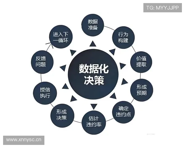 拉菲尼亚与安东尼效率及决策能力对比分析